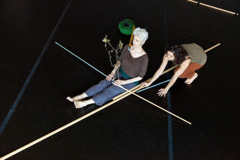jill sigman/thinkdance last days/first field Photo Rafael Gamo